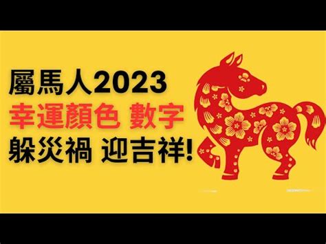 屬馬幸運數字2023